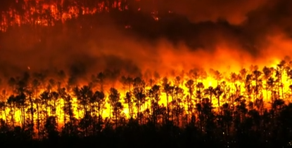 A forest fire in New Jersey grows overnight.  Over 2500 acres burned, 170 homes evacuated and 75 homes threatened.