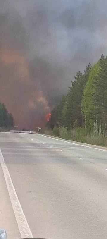 Big wildfire near Alapaevsk of Sverdlovsk region of Russia