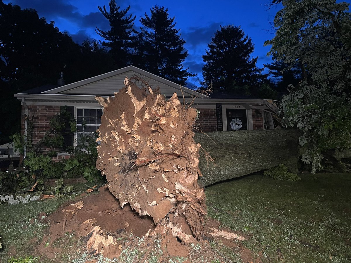 Last night's storms uprooted a massive tree in the Lyndon area&hellip; causing it to fall on not 1, but 2 houses on Westmoorland Way