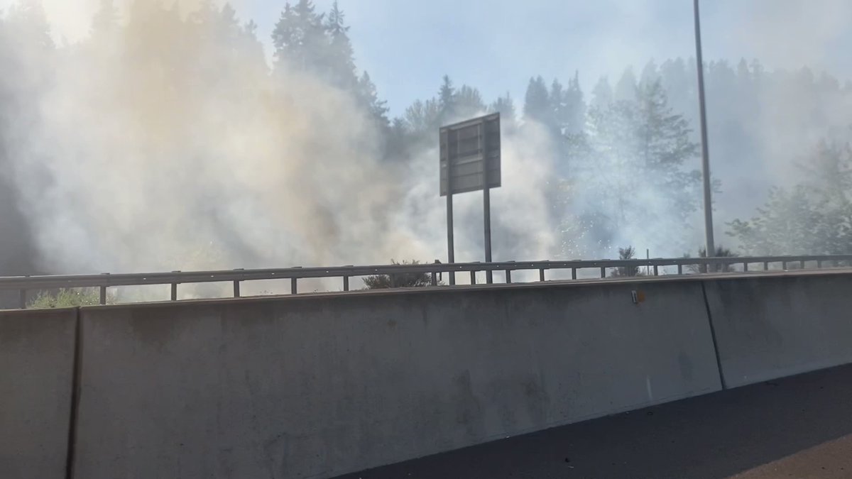 Large brush fire in Pacific, WA, closing SR-167 Southbound on Sunday evening.