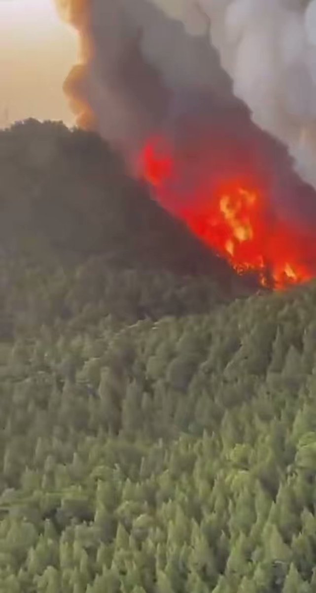 Forest fire on island of Tenerife, Spain; 3000 evacuated