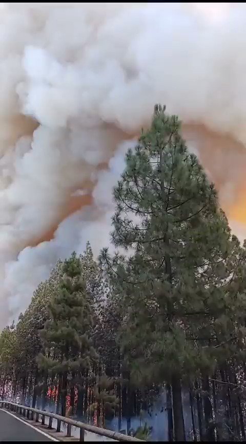 Massive forest fire in Tenerife village of Spain  (16.08.2023) Spain