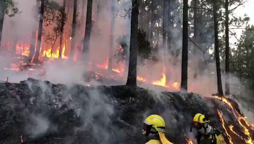 Spain- The Arafo fire is  of control and already affects more than more then 800 hectares in Tenerife. Mass evacuations are happening.