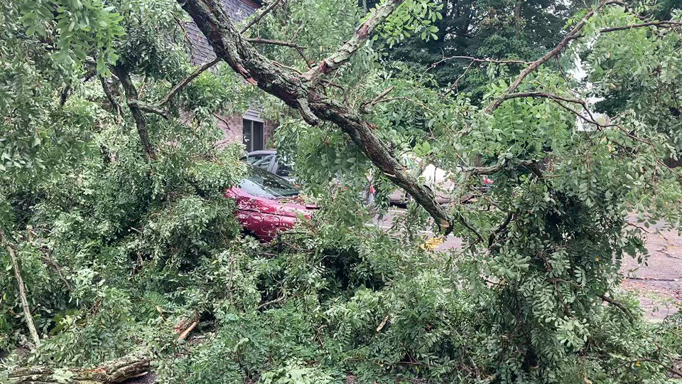 Got trees crushed by vehicles, downed power lines and trees, roads closed, and neighbors analyzing damage on Douglas Avenue in North Providence.