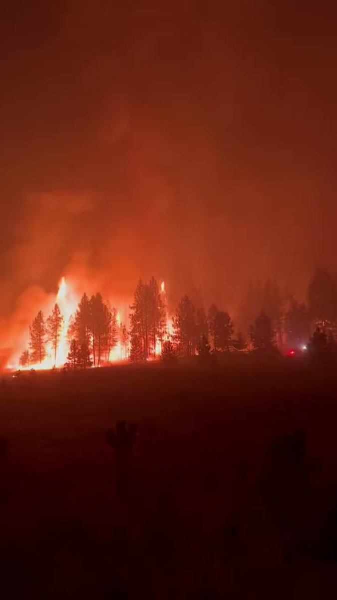 Oregon Road wildfire near Elk , Washington The fire has burned more than 10,000 acres and destroyed at least 80 structures. Multiple evacuations have been carried out