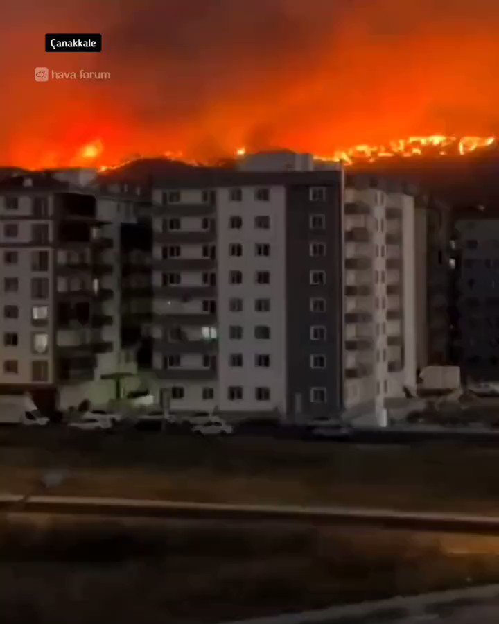 The fire that started in the jungle is now spreading towards the town.
