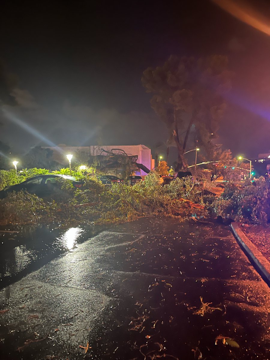 An apartment complex in Scottsdale saw big storm damage as multiple trees fell near Hayden Road and Via de Ventura