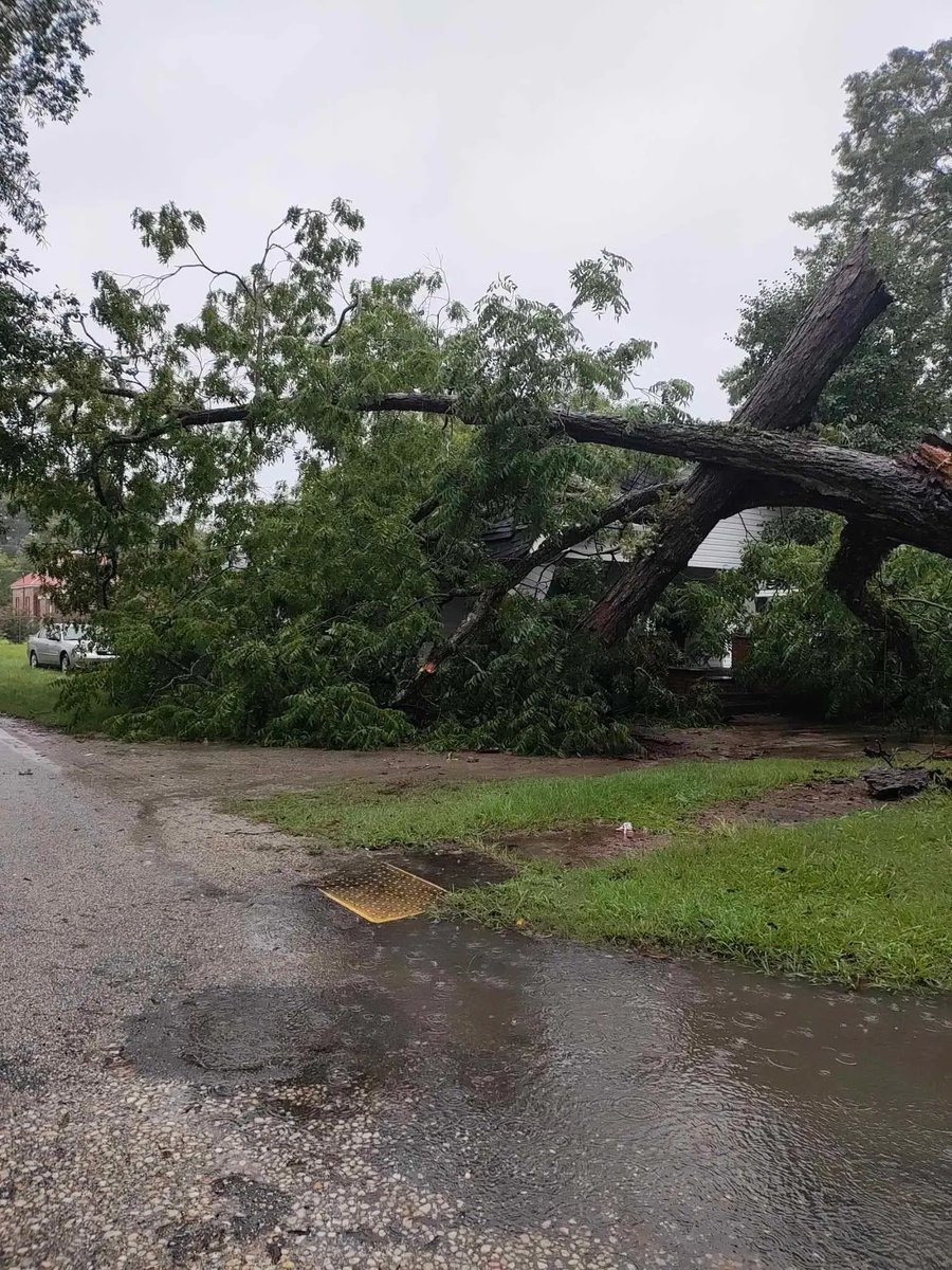Community members said a tree collapsed on a home on East Hampton Street in Dillon during the storm yesterday. They said thankfully no one was hurt but there is major damage to the house.