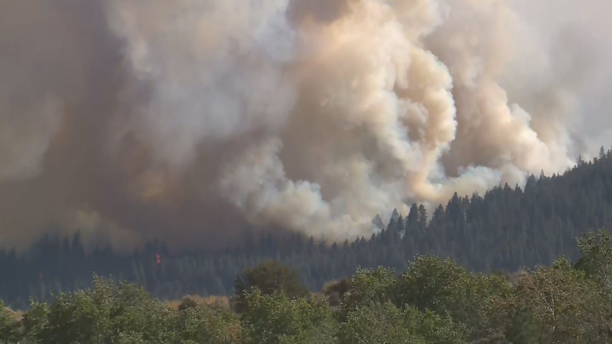 Truckee Meadows Fire and Rescue says the DavisFire has now burned an estimated 6,500 acres and is 0% contained as of Sunday evening. Officials are expected to release more details shortly