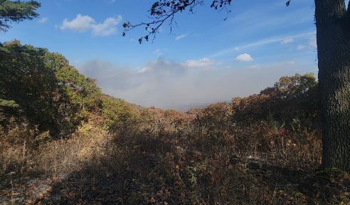 Rain assists firefighters in containing the Sugar Fire in Douglas County, Mo