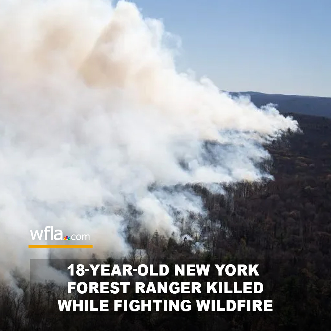 The teen died while fighting a 2,000-acre wildfire burning in Greenwood Lake, near the New Jersey border. Officials said a tree fell on him