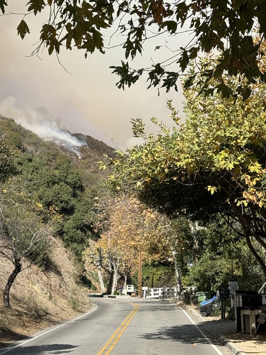 Mandeville Canyon Road 11:30 am PT.  Flames just above 2500 Mandeville Canyon Road.  Fire crews tell there’s consistent air drops and they feel good about the fire at this hour on this road