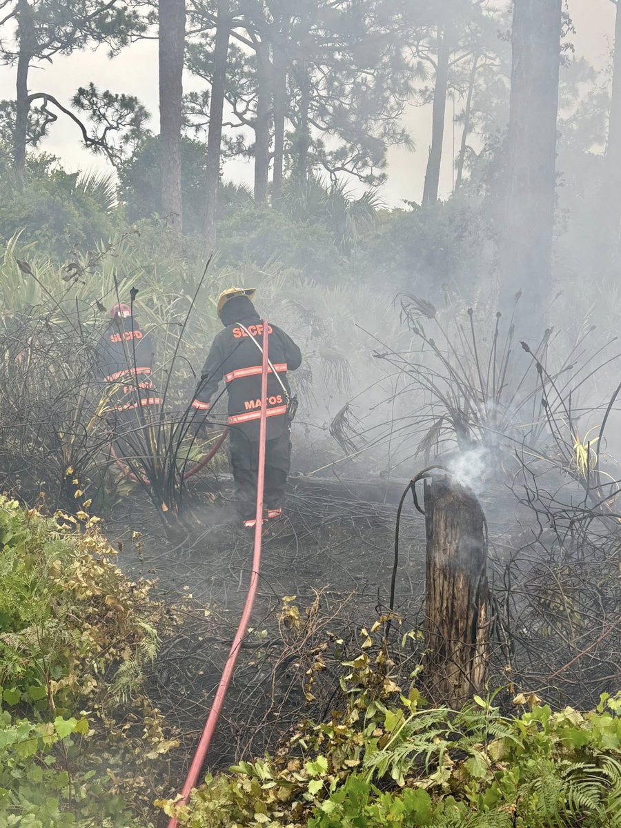 Lightning strike ignites brush fire in Port St. Lucie.