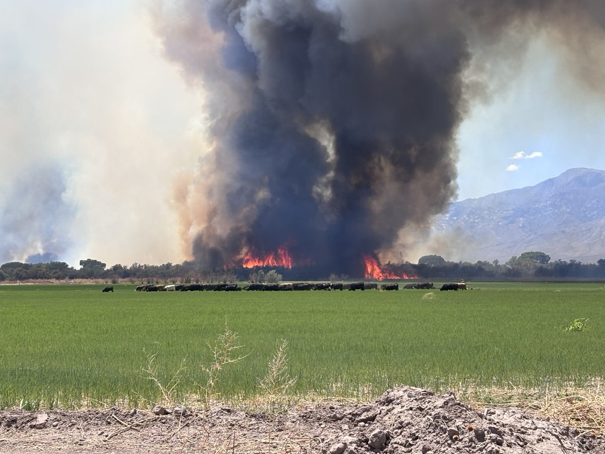 The BryceFire spotted over containment lines on the N/NW side. Fire making a run to the north thru salt cedar, fueled by winds out of the South-West It is actively burning with n the Gila River bottom, north of the US 70. Fire may impact Bryce Bridge along Bryce-Eden Road.