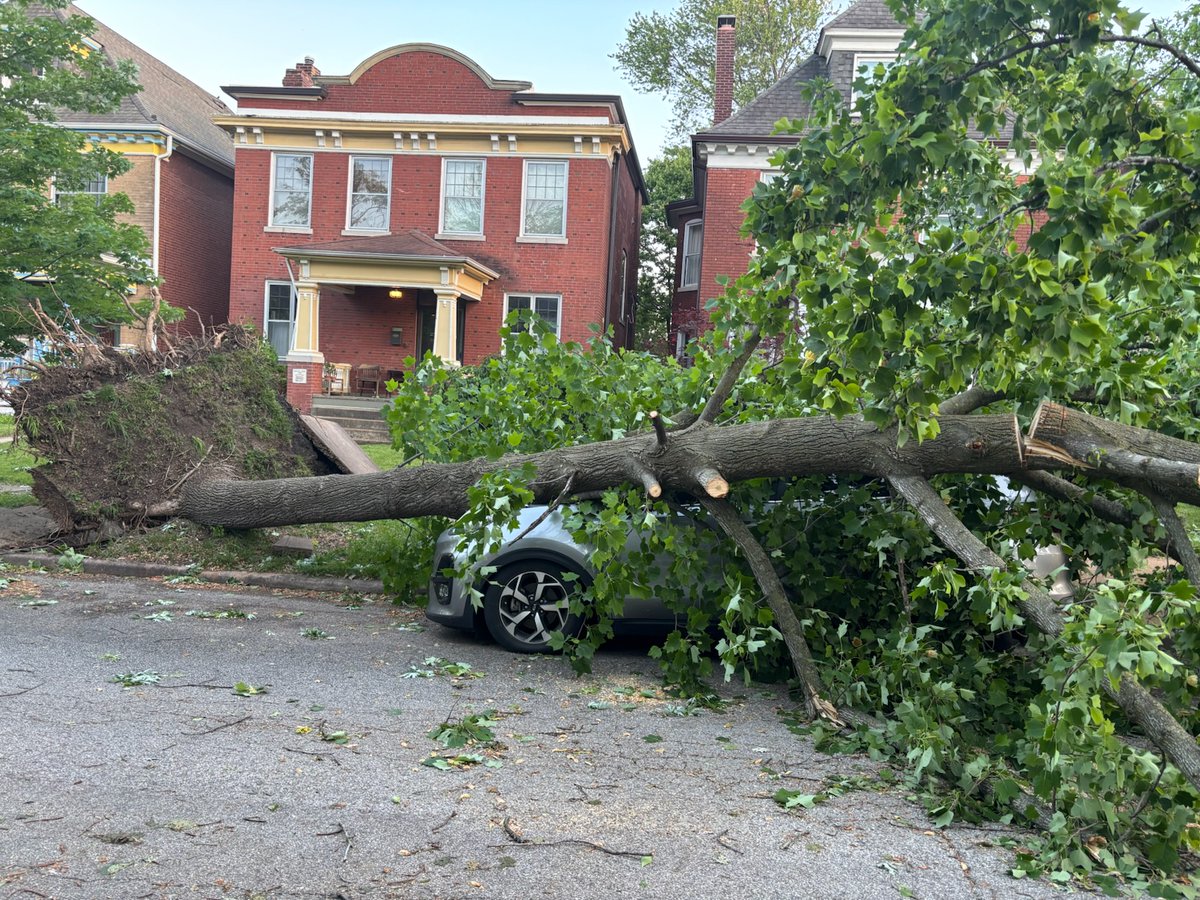 McPherson Boulevard off Skinker Avenue from Friday's storm.