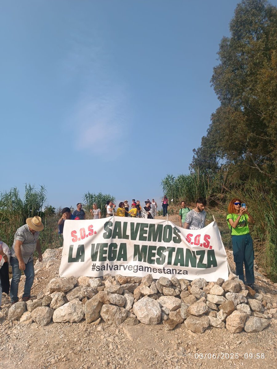 Protesters in Vega Mestanza have set up barricades to prevent the felling of 20,000 orange trees from starting today.