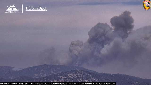 GoldFire 100  acres. Forest Road 3N16 x/Coxey Rd