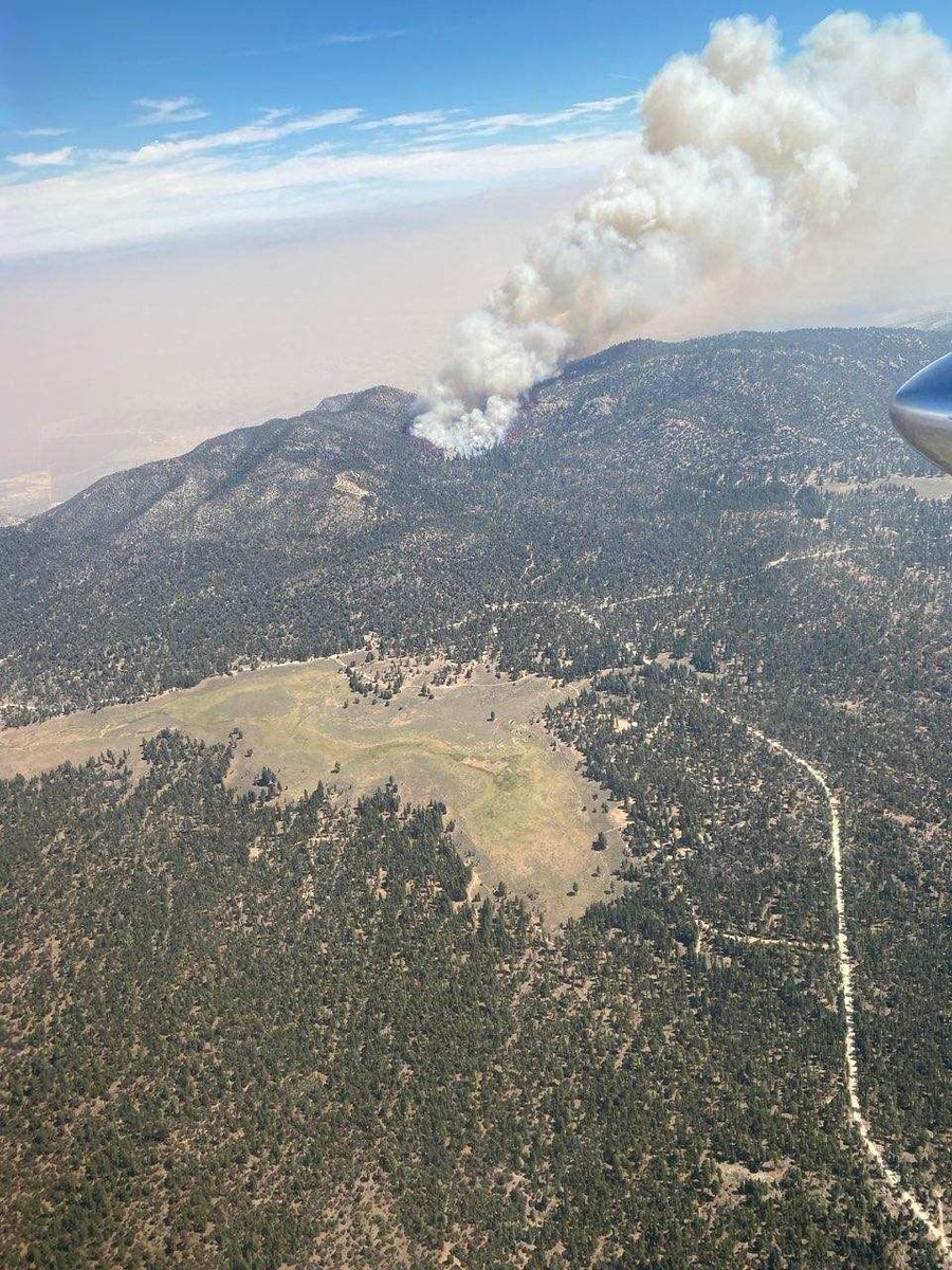 Gold Fire   Officially 80 acres, though being reported at 100 acres by others  10 Engines 2 Crews 2 Water Tenders Multiple Aircraft  Calfire CAL FIRE - BDU, SB County Fire, BLM Cal Desert District