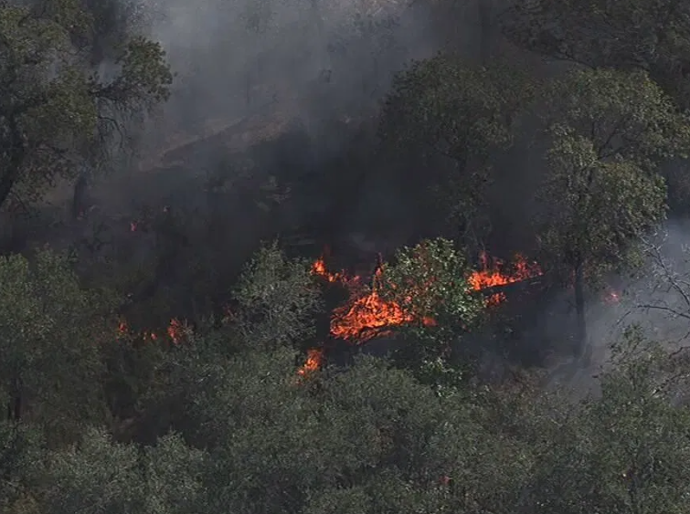 Silver Mountain fire 50% contained, scorches over 300 acres