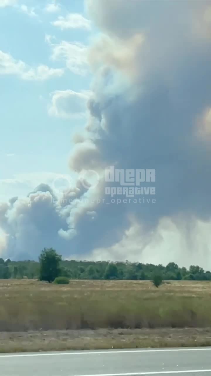 Big wildfire near Orilske village of Dnipropetrovsk region
