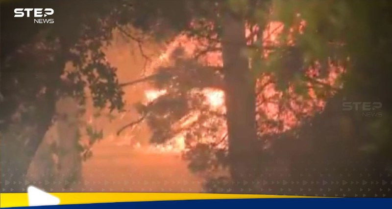 Massive forest fires in Portugal and Spain, emergency teams respond