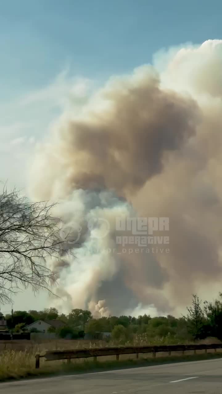 Big forest fire near Obukhivka of Dnipropetrovsk region