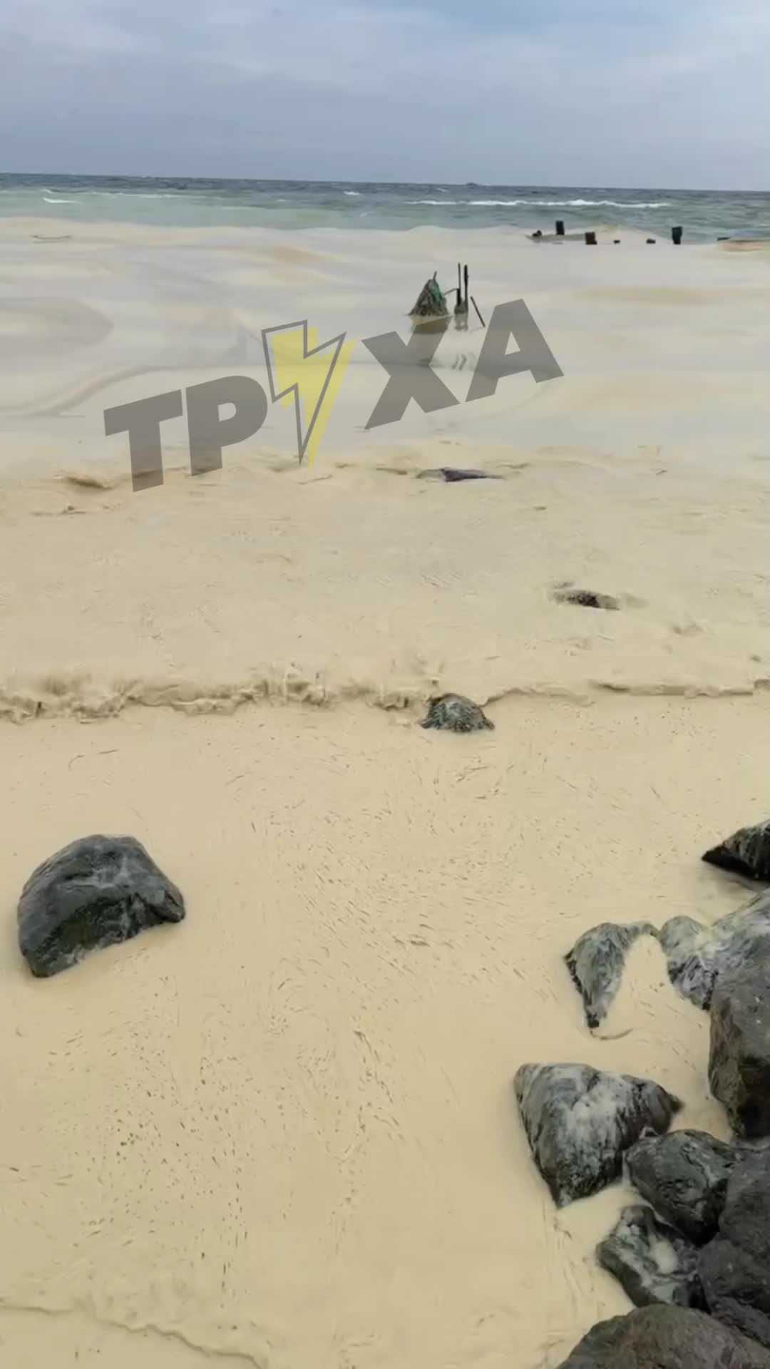 تلوثت مياه البحر بالقرب من بيفدين، في منطقة أوديسا، بزيت البذور، نتيجة للغارات الروسية على البنية التحتية للميناء.