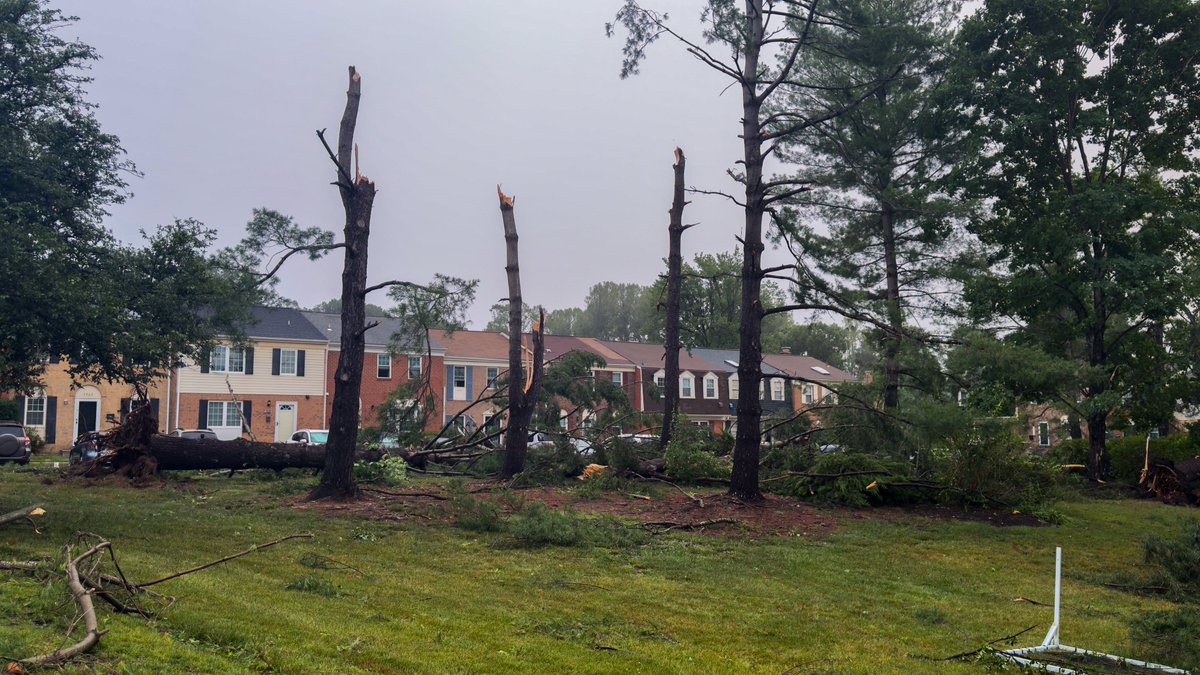 Burke, VA - Significant storm damage remains in the area of Guinea Rd & Falmead Rd following yesterday’s line of severe thunderstorms.