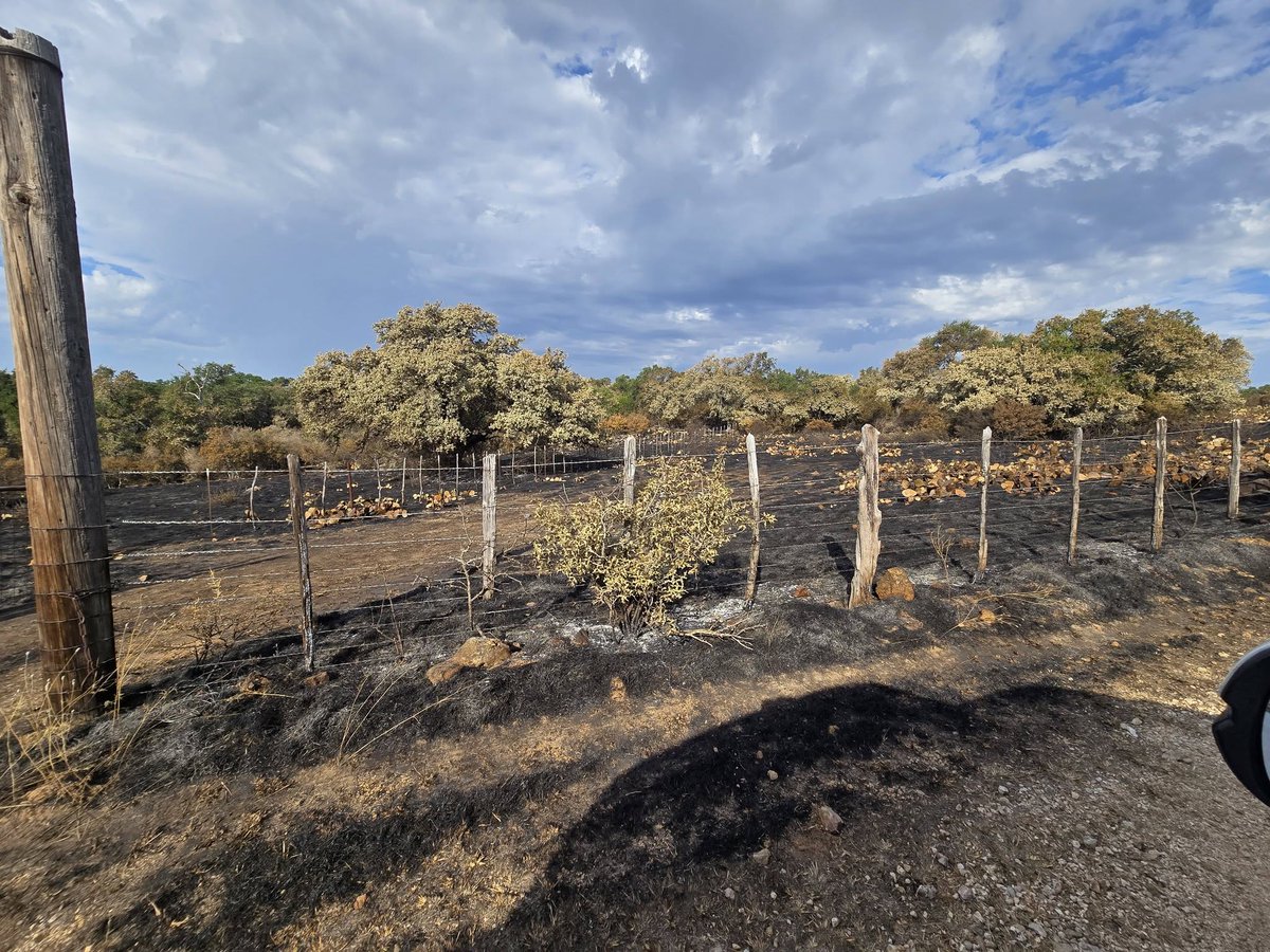 The KurkFire in San Saba County is at 824 acres and is 85 percent contained